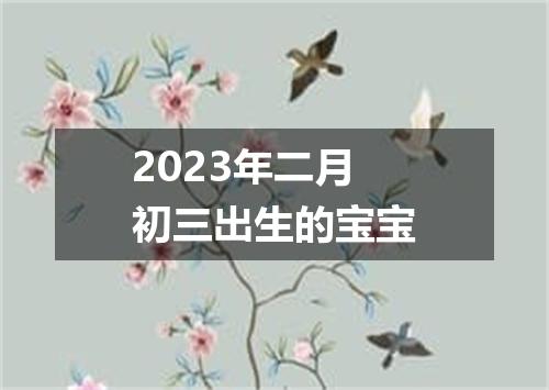 2023年二月初三出生的宝宝