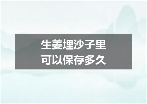 生姜埋沙子里可以保存多久