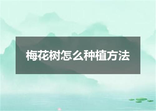 梅花树怎么种植方法