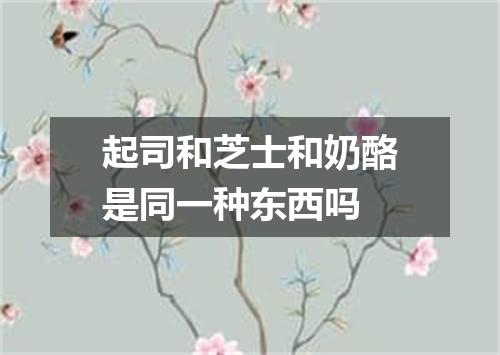起司和芝士和奶酪是同一种东西吗
