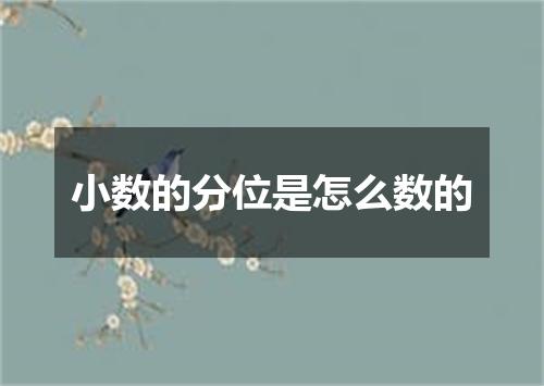 小数的分位是怎么数的