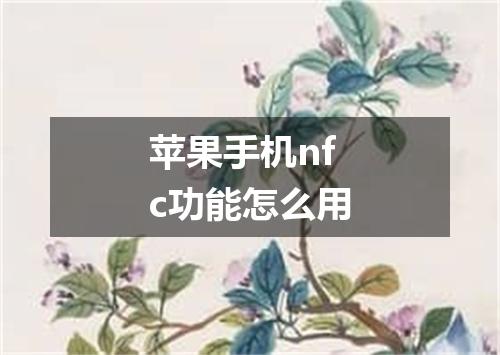 苹果手机nfc功能怎么用