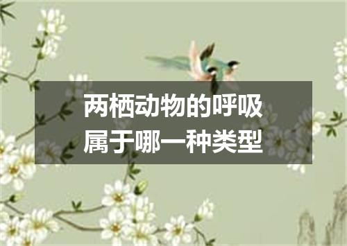 两栖动物的呼吸属于哪一种类型