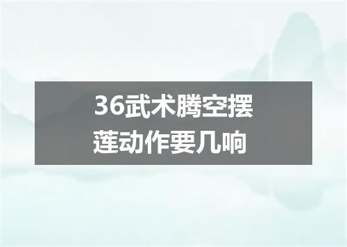 36武术腾空摆莲动作要几响