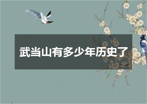 武当山有多少年历史了