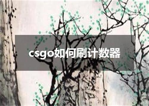 csgo如何刷计数器