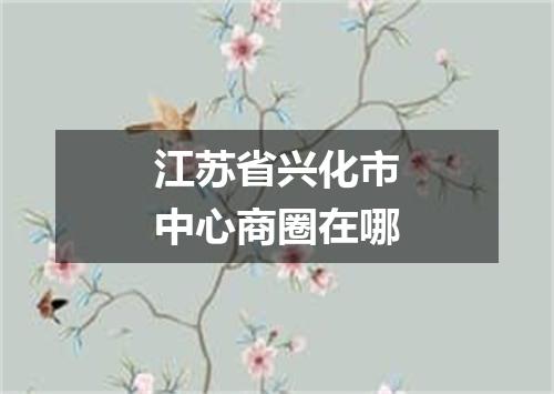 江苏省兴化市中心商圈在哪