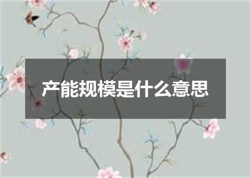 产能规模是什么意思