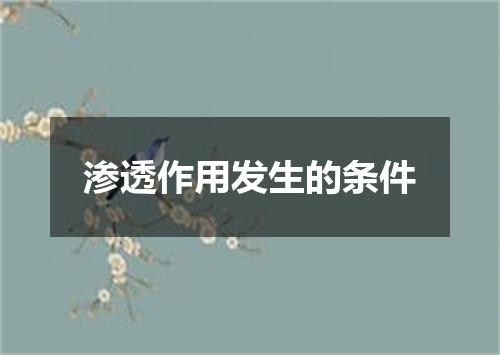 渗透作用发生的条件