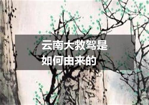 云南大救驾是如何由来的