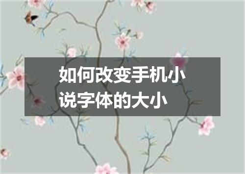 如何改变手机小说字体的大小