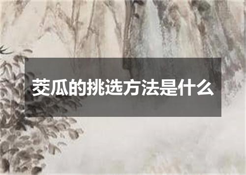 茭瓜的挑选方法是什么