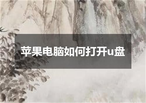 苹果电脑如何打开u盘