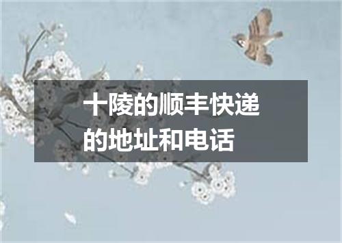 十陵的顺丰快递的地址和电话