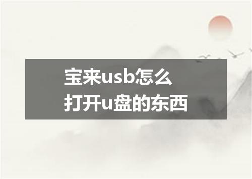 宝来usb怎么打开u盘的东西
