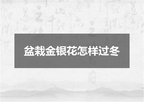 盆栽金银花怎样过冬