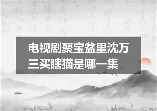 电视剧聚宝盆里沈万三买瞎猫是哪一集
