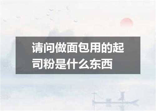 请问做面包用的起司粉是什么东西