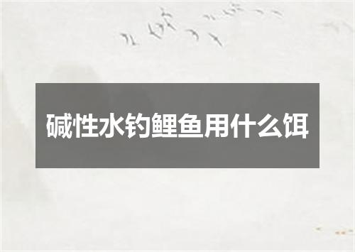 碱性水钓鲤鱼用什么饵