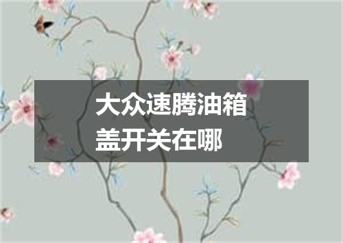 大众速腾油箱盖开关在哪