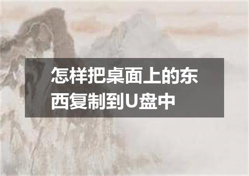 怎样把桌面上的东西复制到U盘中