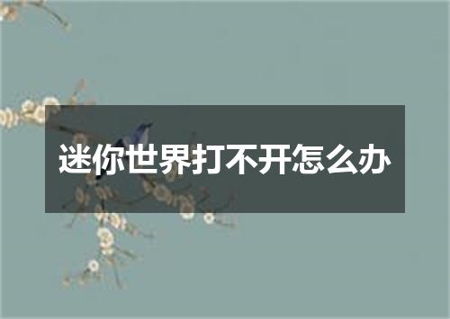 迷你世界打不开怎么办