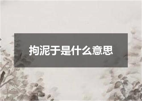 拘泥于是什么意思