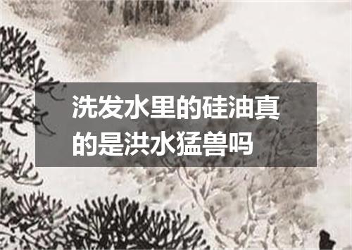 洗发水里的硅油真的是洪水猛兽吗