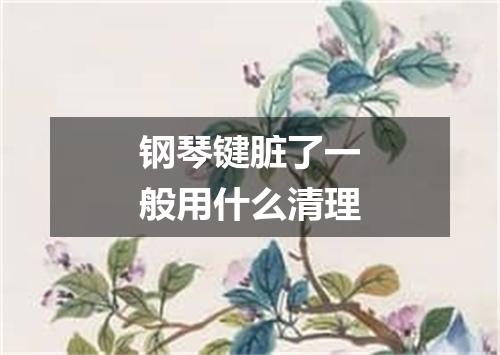 钢琴键脏了一般用什么清理