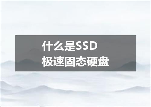 什么是SSD极速固态硬盘