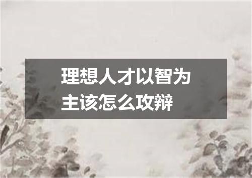 理想人才以智为主该怎么攻辩