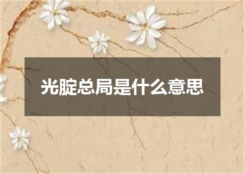 光腚总局是什么意思