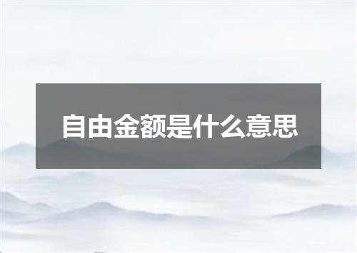 自由金额是什么意思