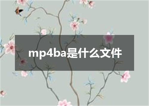 mp4ba是什么文件