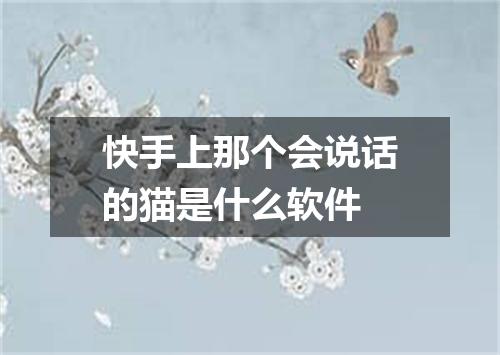 快手上那个会说话的猫是什么软件