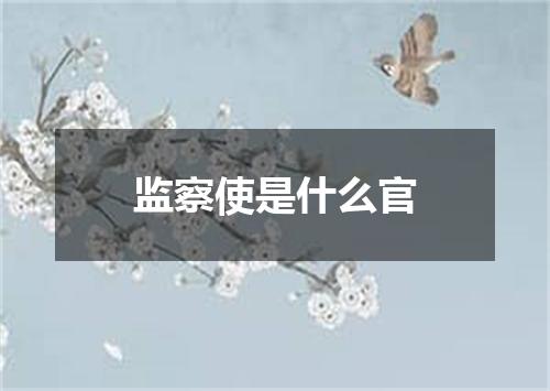 监察使是什么官