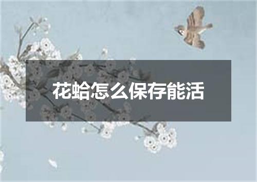 花蛤怎么保存能活
