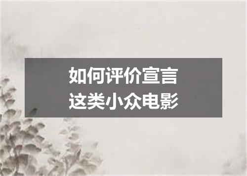 如何评价宣言这类小众电影