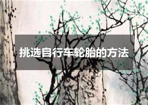 挑选自行车轮胎的方法