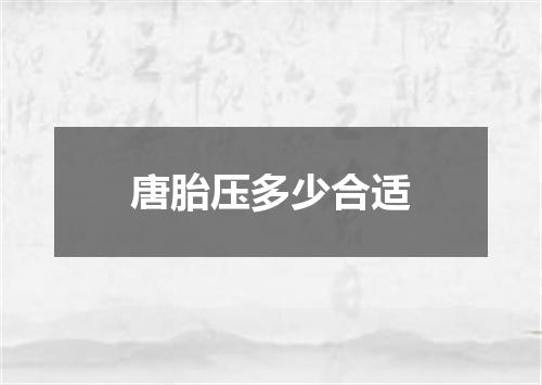唐胎压多少合适