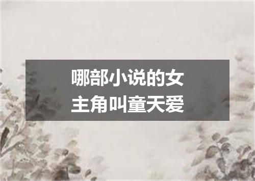 哪部小说的女主角叫童天爱