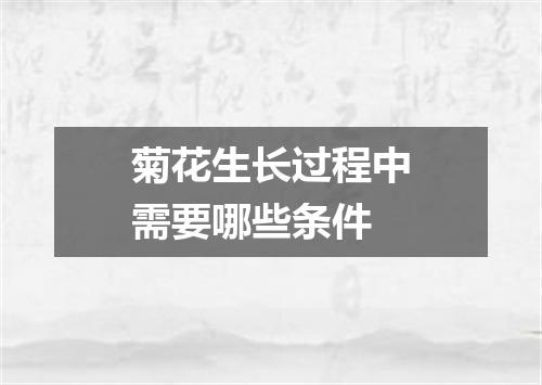 菊花生长过程中需要哪些条件
