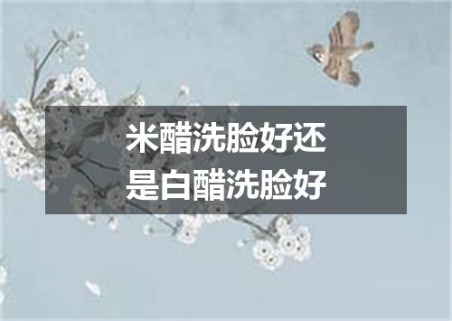 米醋洗脸好还是白醋洗脸好