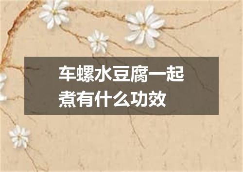 车螺水豆腐一起煮有什么功效