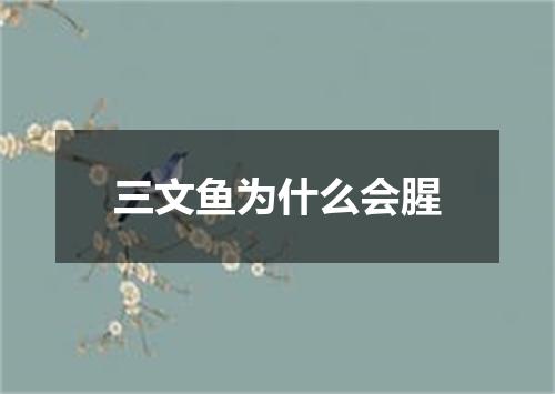 三文鱼为什么会腥