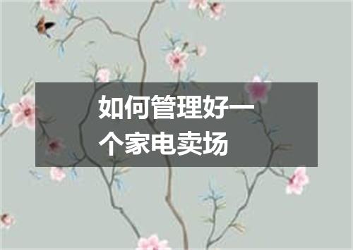 如何管理好一个家电卖场