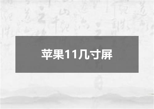 苹果11几寸屏