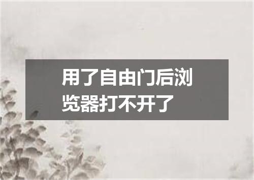 用了自由门后浏览器打不开了