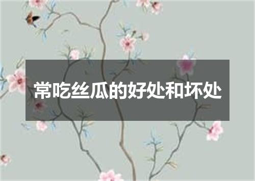 常吃丝瓜的好处和坏处