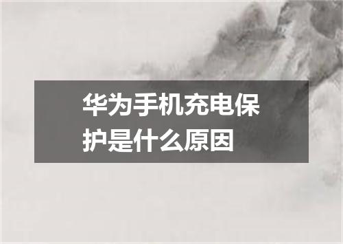 华为手机充电保护是什么原因